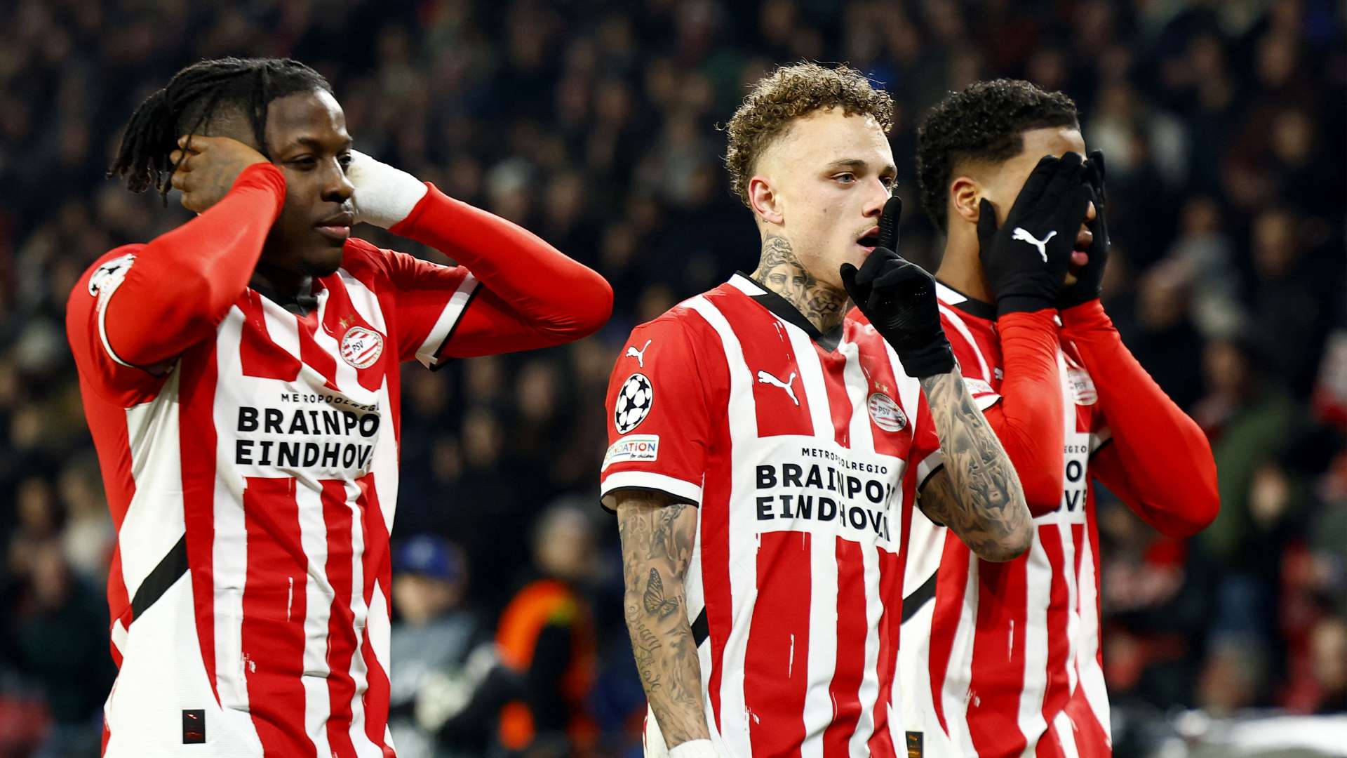 上大放异彩 上大放异彩